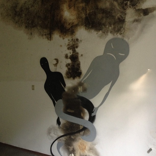 Illustration for article titled How do you make an abandoned asylum even creepier? Add eerie shadows